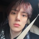 강아지 꼬순내 이미지