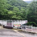 문수관광 Daum카페