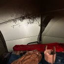 재오개캠핑장 | 충주 재오개 캠핑장에서 가을 끝자락...(사이트 : B)🍁🤎