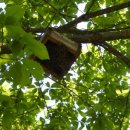 용연농장 이미지