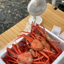바다홍게 이미지