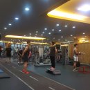 더엠 휘트니스 이미지