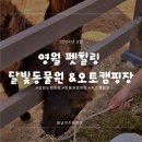 강원도 영월 키즈 캠핑장｜펫힐링 달빛동물원&amp;오토캠핑장｜후기