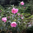 달빛소리마을 네이버블로그