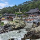 해동용궁사 이미지