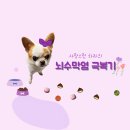 잠자는 숲속의 공주 이미지