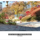 자연과숲 이미지