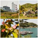 수영 태양광발전소 이미지