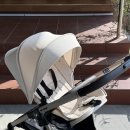 단델리온 | 완벽한 절충형 유모차｜ 태그(TAG) 단델리온 골드 사용후기