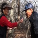 동곤농장 이미지