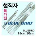 블루버드