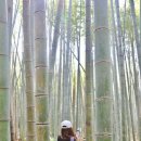 새대한목장 이미지