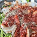 서천 휴모텔 | 서천 동백꽃 주꾸미축제 후기 마량도 해돋이 명소 동백로드 둘레길 제철 주꾸미 볶음 맛집