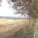 소라보체육공원 이미지