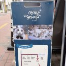 대구고양이분양 원펫 | 대구 고양이 카페(랙돌과 골든 브리티쉬 많음) '양이랑커피랑' 방문 후기