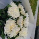 광주이씨광릉부원군파묘역 | 광주이씨 광릉부원군파 종회 ㅡ 대전 국립현충원 애국지사 묘역 참배