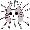 루이동물미용 이미지