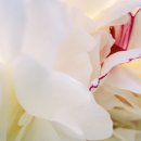 뷰티화장품 이미지