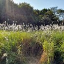 한밭목장 이미지