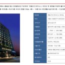 더인시티주