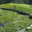 강촌힐스 이미지