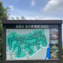 상리봉 정상 네이버블로그
