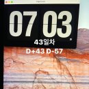 화순종로약국 | 매일사업로그 289일차 - 6학년 심화실습 및 필수실습 선택