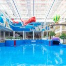 워터파크 이미지