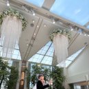 베일리 베일리 | 서울 밝은웨딩홀 신도림 더링크 호텔 베일리홀 하객 뷔페 후기