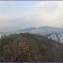 올레길 산림형 3코스 이미지