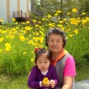 오색 안터 펜션 이미지