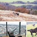 주식회사 늘푸르름 | ■ 박경일기자의 여행 - 차가움 속 푸르름 가득한 제주