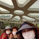 수원산한식부페
