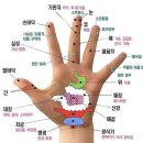 비타세상