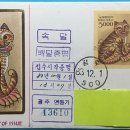 날자호랑이