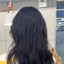 다올대전 네이버블로그
