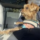 까치세차장 이미지