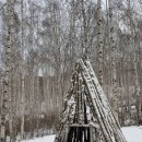 자작나무 숲 | 인제 두부맛집, 고향집 내돈내산후기 (위치,주차,메뉴) 그리고 인제 자작나무숲 후기 꿀팁