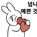 담비식당 - 세종특별자치시 | 담비식당