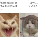 목요일기 이미지