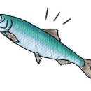 백성 이미지