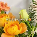 샬롬플라워 네이버블로그