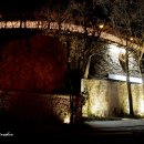 달맞이밤 이미지