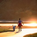 이다종합동물병원 이미지