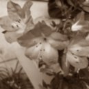 여의도고등학교 입구 이미지