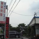 황금어장 Daum카페
