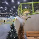 꿈나무환경교실 | 꿈나무 아이들을 위한 공간관리｜어린이과학관 스팀세척 꼼꼼 시공 후기