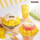 설빙 로피시엘 코리아