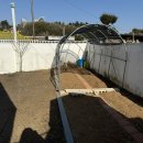 스테이증산 이미지