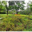 내정 어린이공원 이미지